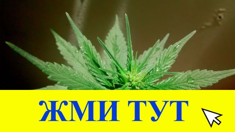 Купить наркотики в Тимашёвске